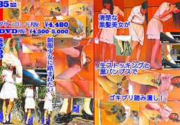 黒髪女性が巨大ゴキブリを一匹ずつ全体重をかけグリグリと生ストッキングで踏む!-後編-