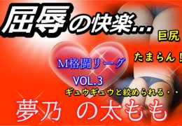 M格闘リーグ VOL.3