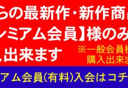 【HD】地下ファイト男女混合マッチ 変則タッグ2vs1戦 01【プレミアム会員限定】