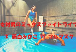 ミックスファイトライブ3