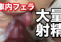 職場同僚の車内フェラ!大量口内射精しちゃいました(笑)