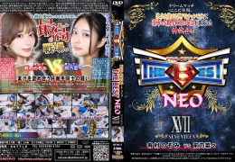 【HD】PRO-STYLE THE BEST NEO 17【プレミアム会員限定】