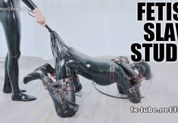 【HD】人間犬に改造されキキのペットとして生きていくことを決心したマオ