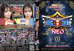 【HD】PRO-STYLE THE BEST NEO 25【プレミアム会員限定】